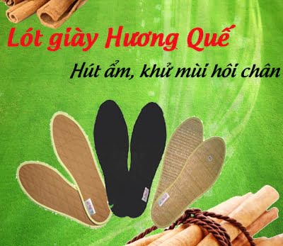 Vi sao phai mua mieng lot giay huong que dung chat luong 11