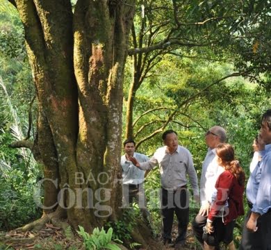 cong-ty-huong-que-tu-hao-duoc-bao-cong-thuong-co-quan-ngon-luan-cua-bo-cong-thuong-phong-van-va-viet-bai-ve-dien-hinh-cua-su-thanh-cong