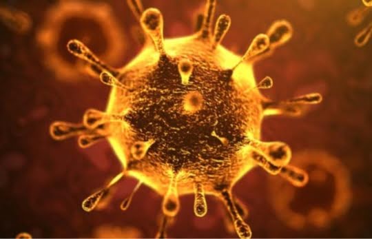 Virus corona